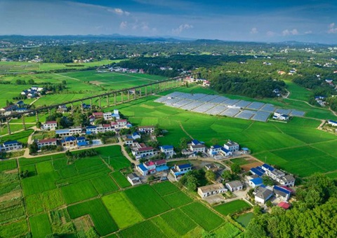 湖南：靶向发力盘活存量土地资产<br>为206家机关企事业单位定制处理方案，，盘活土地2.6万亩