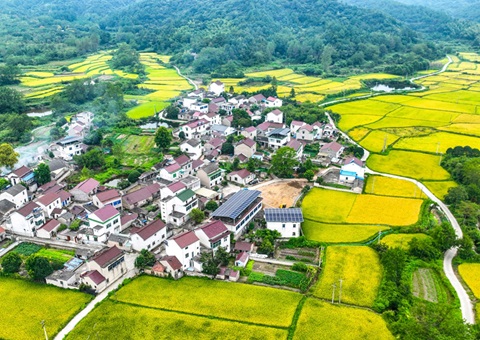 安徽省自然资源厅：130个州里耕地；；；；；ばЧ怀 获赔偿激励1.3亿元