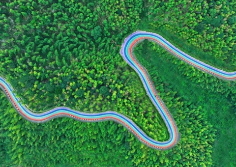 组合供应出新招，，，竹海收益节节高——桃江县“桃花江竹海”自然资源资产组合供应推动生态产品价值实现案例